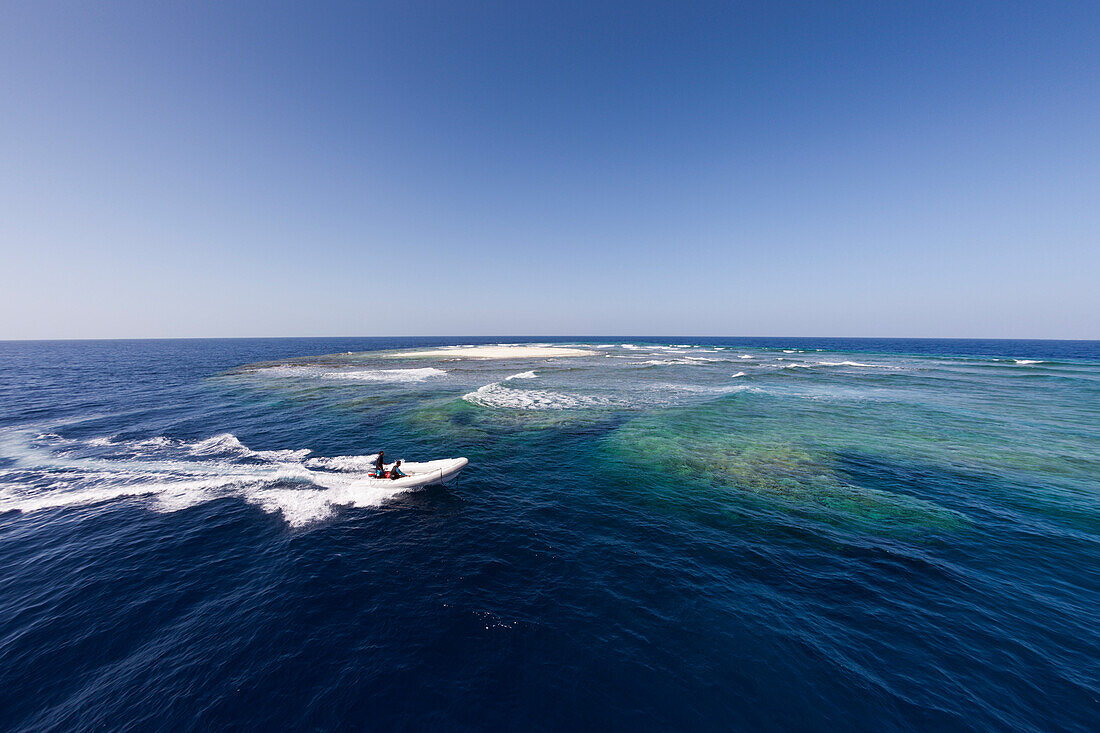 Angarosh Reef, Red Sea, Sudan