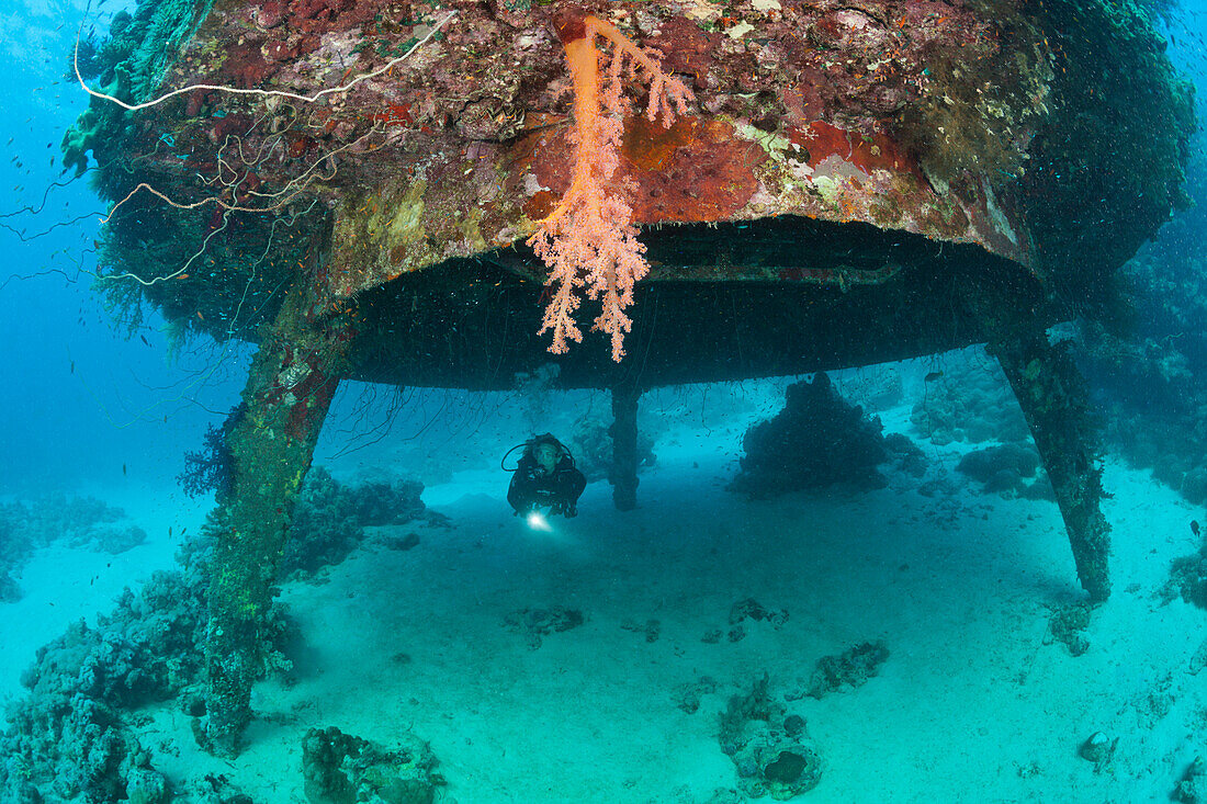 Diving Cousteaus Underwater Habitat Precontinent II, Shaab Rumi, Red Sea, Sudan