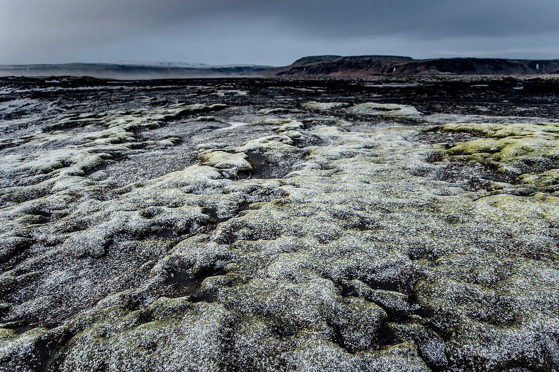 Steine und Moos entlang der Ringstraße, Berge im Hintergrund, Frost, Winter, Kalt, Island