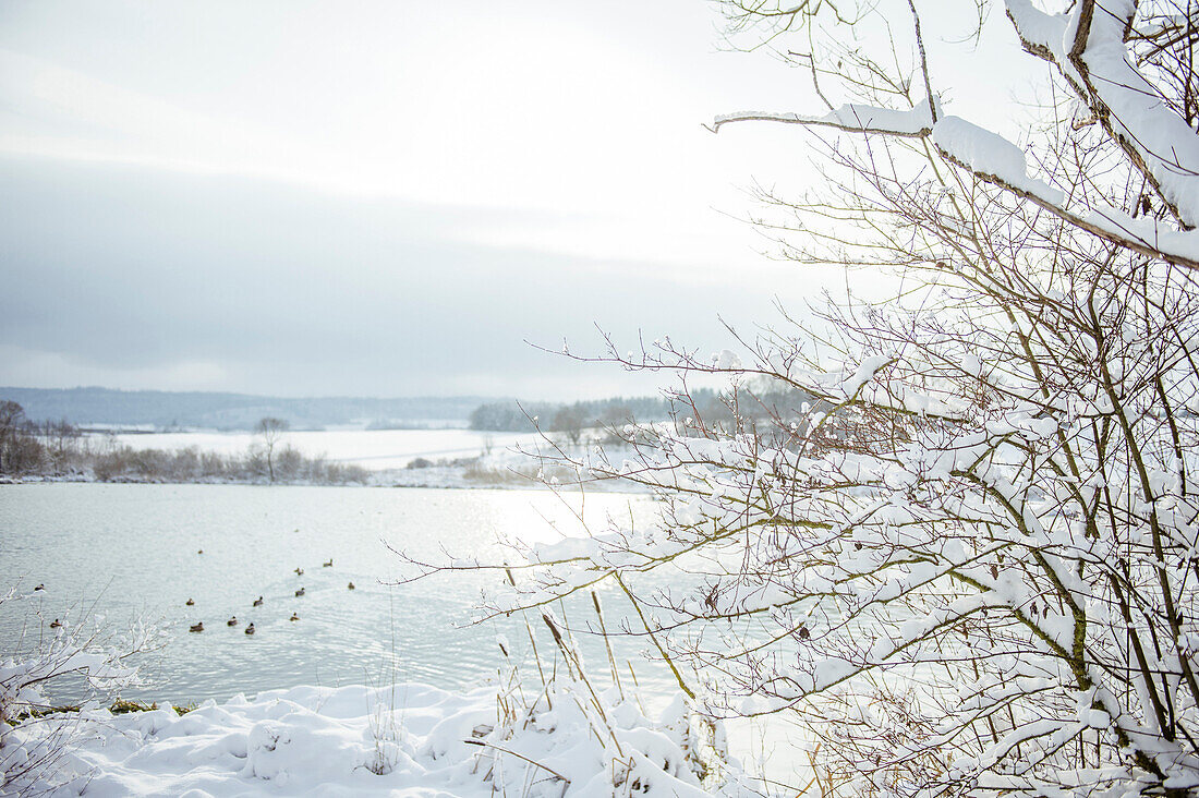 Winter am Bucher Stausee, Rainau, bei Aalen, Ostalbkreis, Baden-Württemberg, Deutschland