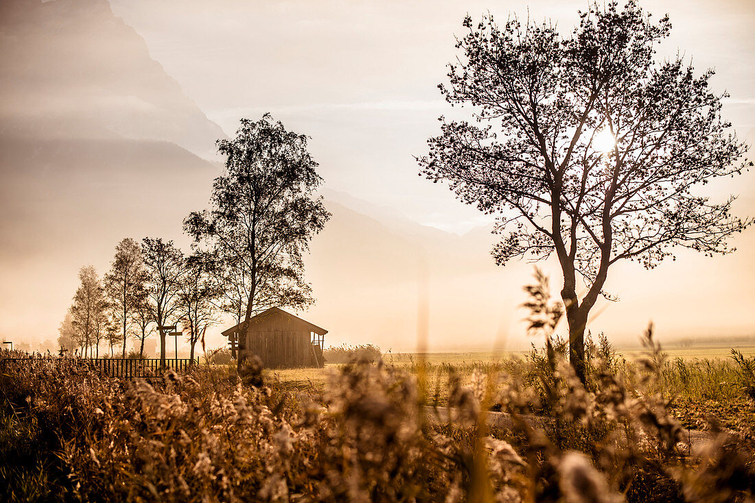 Zugspitze in the mist, Morning mood, View from Ehrwald, Mieminger Range, Zugspitze, Alps, Tyrol, Austria