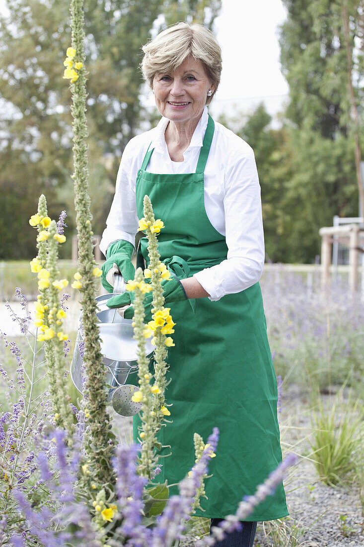 Mature woman watering plant in garden, portrait