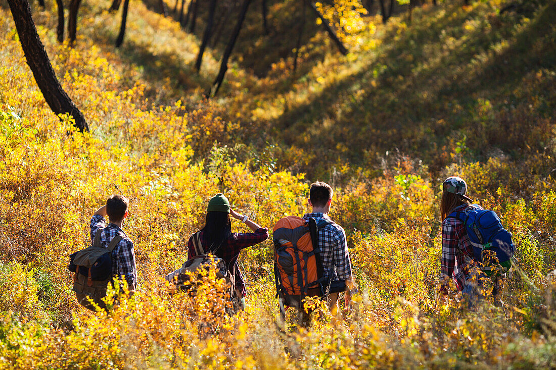 Rear view of friends hiking in forest during autumn