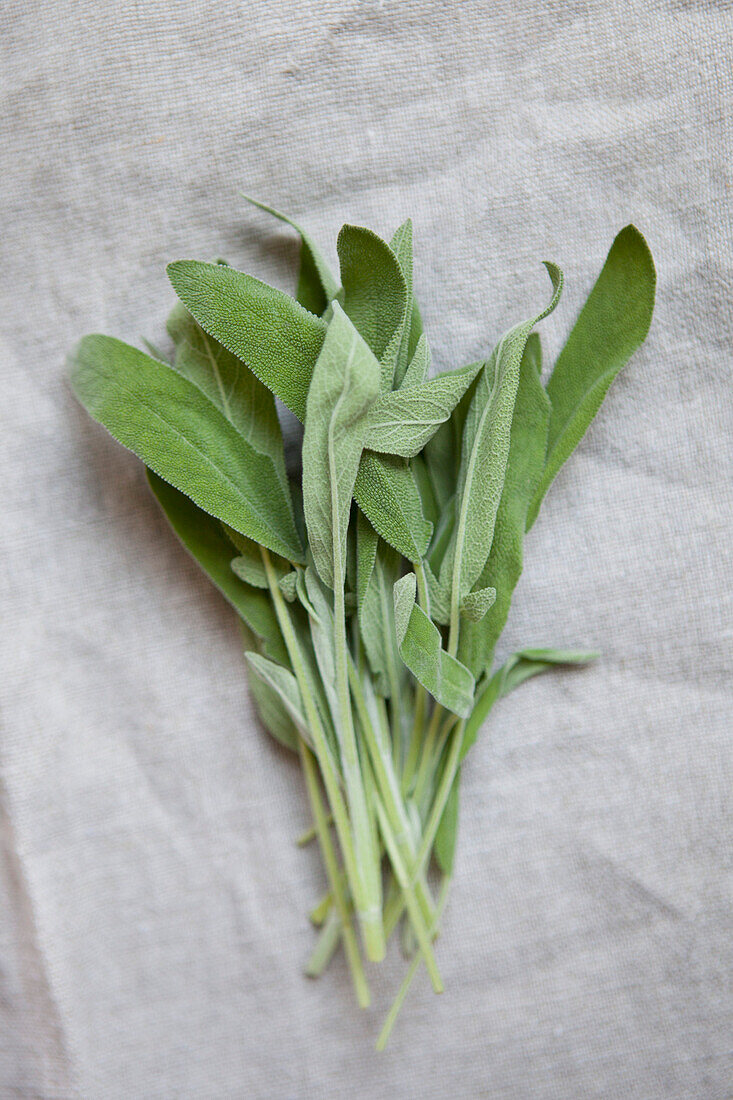 Sage leaves