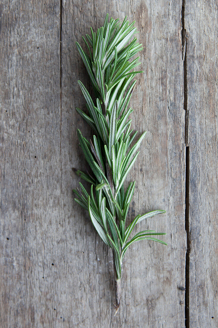 Close-up of rosemary on wooden table