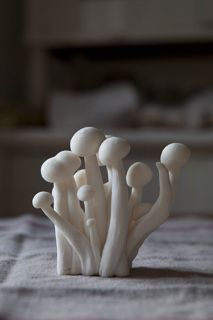 Shimeji mushrooms on napkin