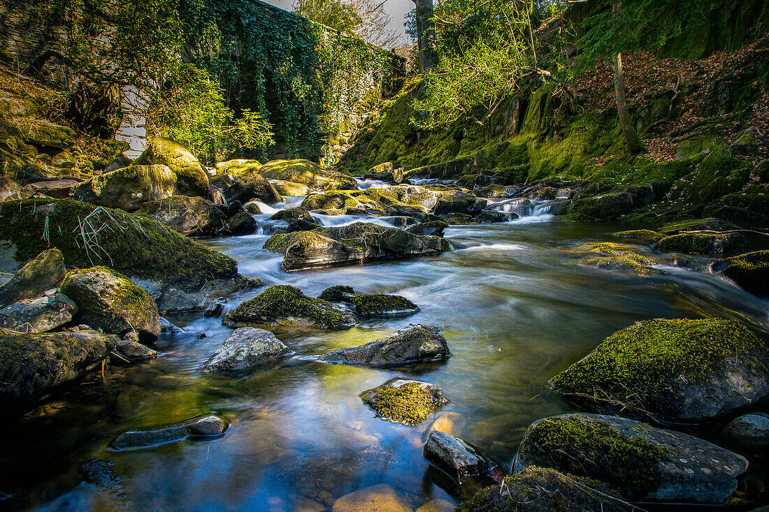 River flowing through mossy rocks