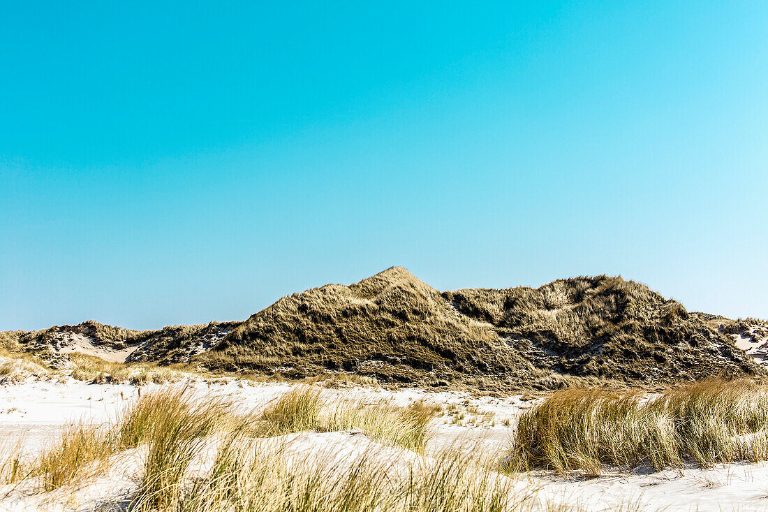 Grass growing on sandy beach against clear sky
