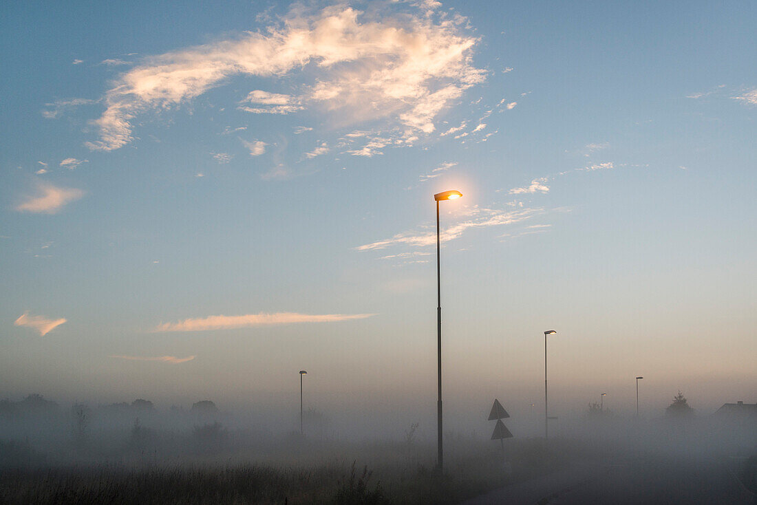 Illuminated street lights in foggy weather during sunset