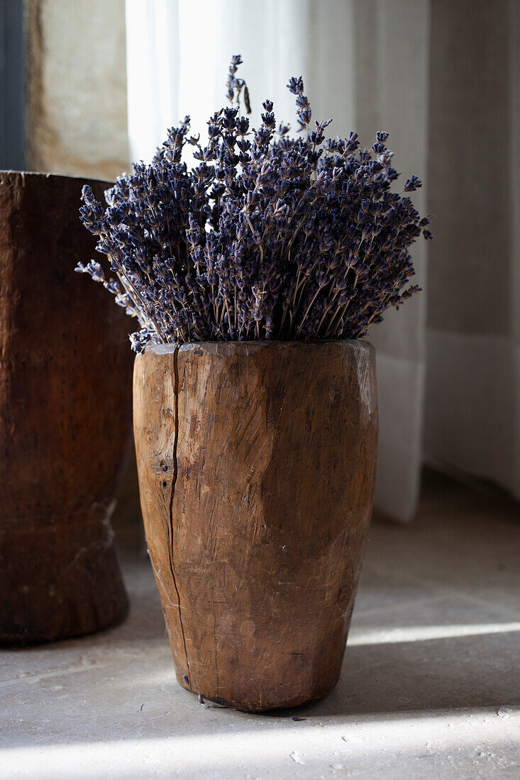 Wooden houseplant at home