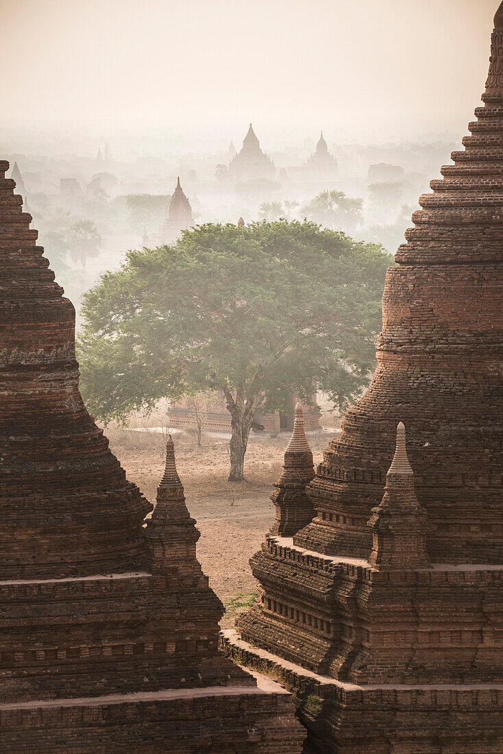 Sunrise at the Temples of Bagan Pagan, Myanmar Burma, Asia