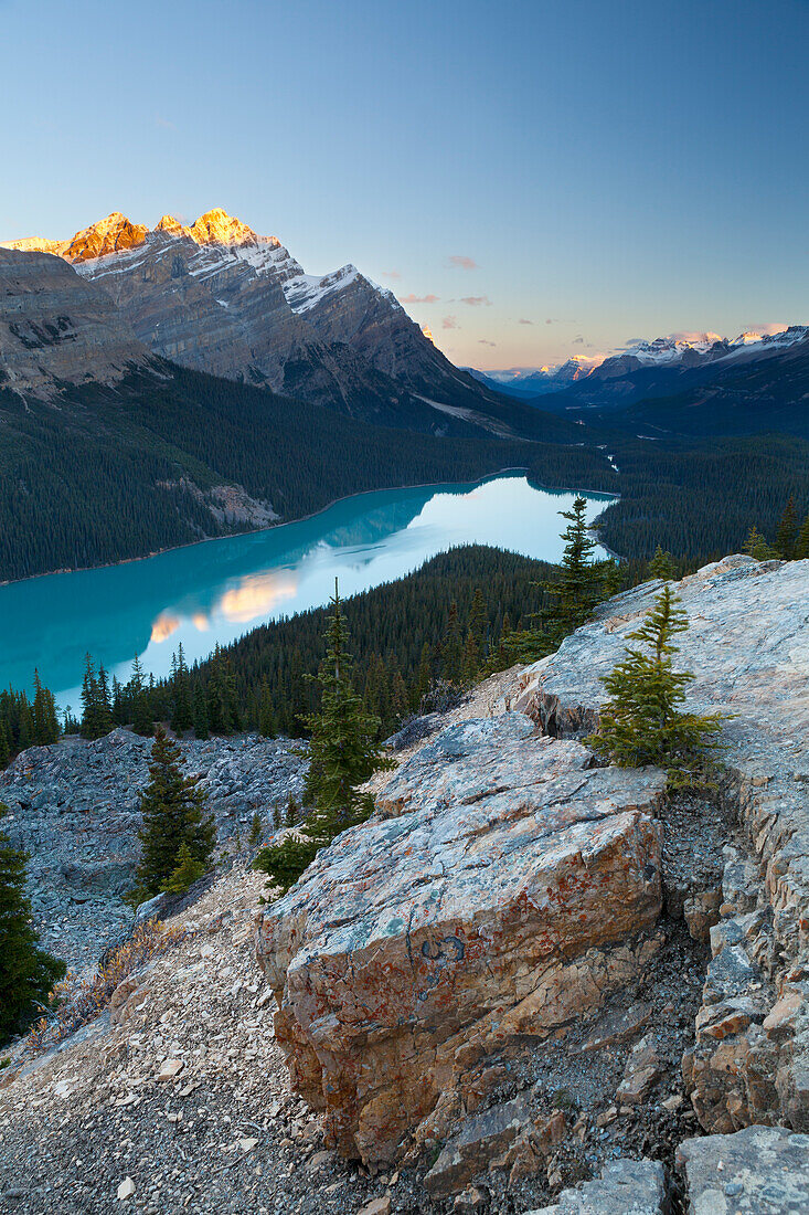 Peyto Lake at sunrise, Banff National Park, UNESCO World Heritage Site, Rocky Mountains, Alberta, Canada, North America