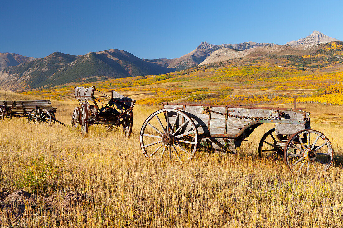 Old horse-drawn wagons with the Rocky Mountains in the Background, near Waterton Lakes National Park, Alberta, Canada, North America
