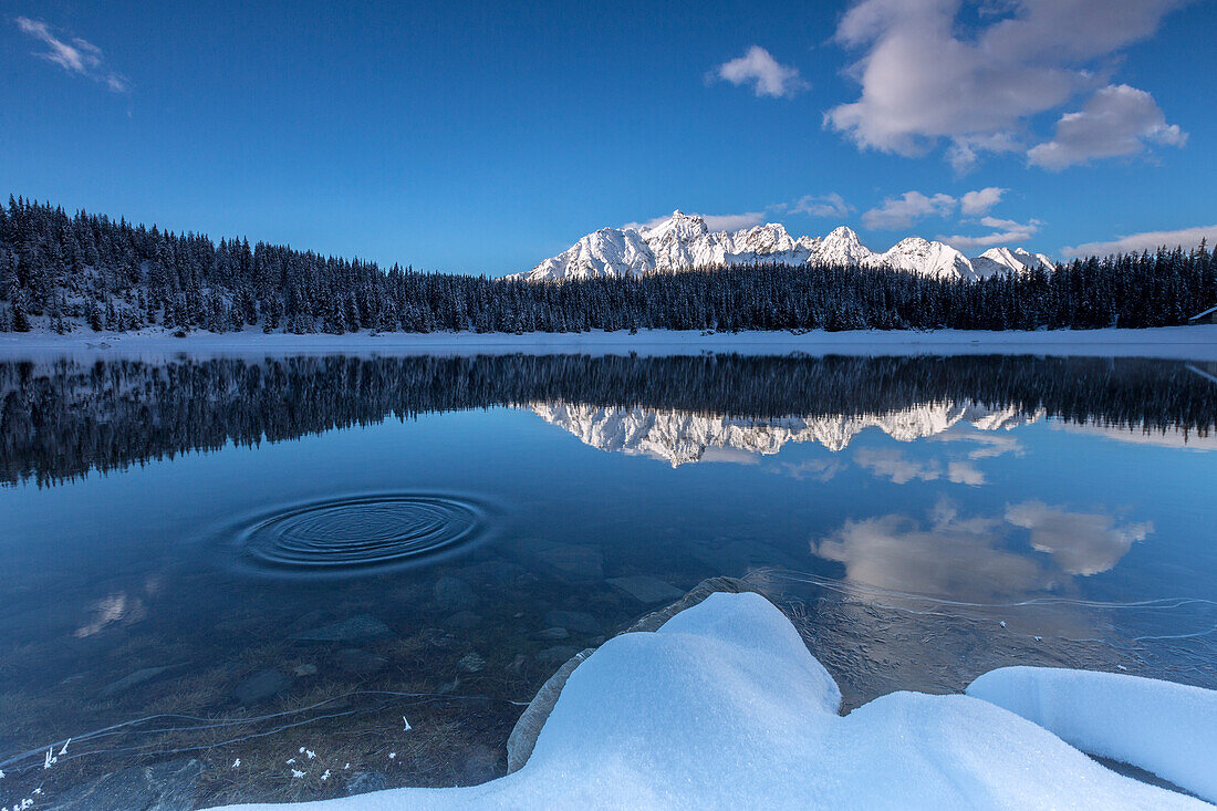 Woods and snowy peaks are reflected in the clear water of Lake Palu, Malenco Valley, Valtellina, Lombardy, Italy, Europe