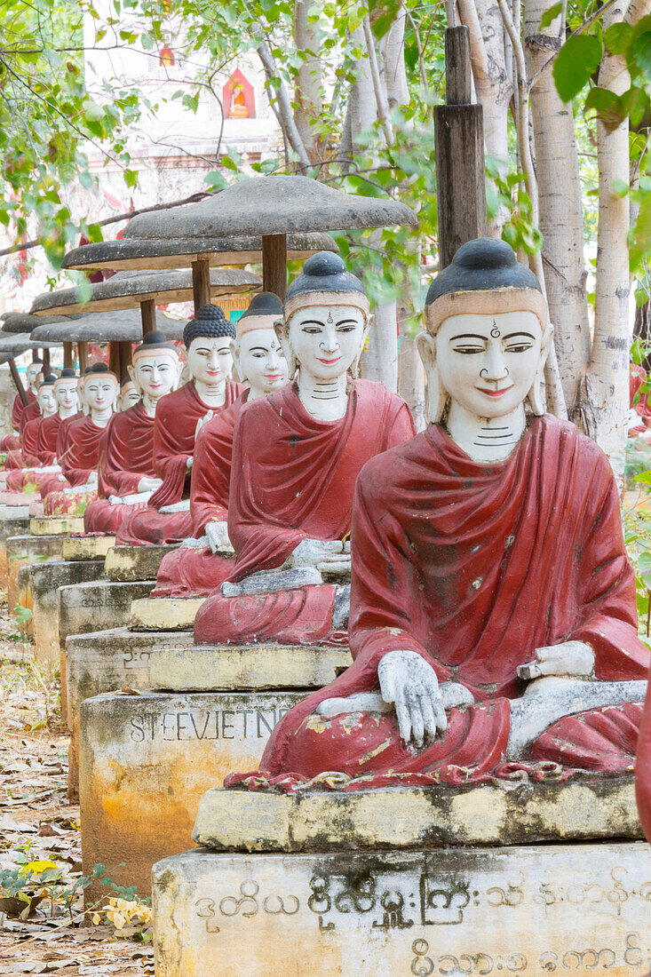 Thousands of sitting buddhas in the park of a thousand bodhi trees - Maha Bodhi Ta HtaungHtaung, Monywa, Sagaing, Myanmar Burma, Southeast Asia