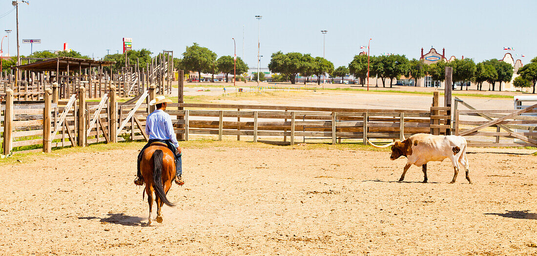 Cowboy in Fort Worth Stockyards, Texas, United States of America, North America