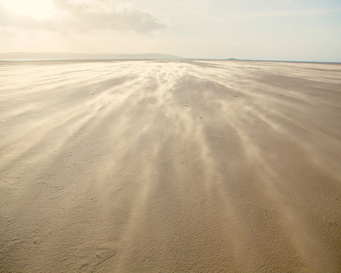 Shifting sands creating a cloud underfoot as wind whistles across the beach, West Kirkby, Wirral, England, United Kingdom, Europe