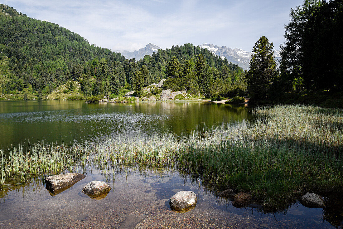 The mountain lake Lägh da Cavloc near Maloja, Bregaglia Range, canton of Grison, Switzerland