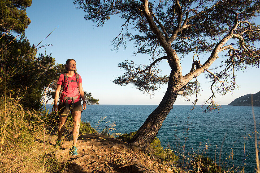 A young woman with a rucksack is hiking on a trail in the evening sun next to mediterranean pine trees, behind her the sea, Canyamel,  Mallorca, Balearic Islands, Spain