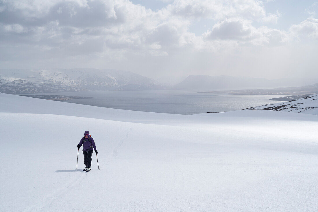 A female skitourer in the valley named Karlsdalur near Dalvík, Tröllaskagi or in English Troll Peninsula, Iceland