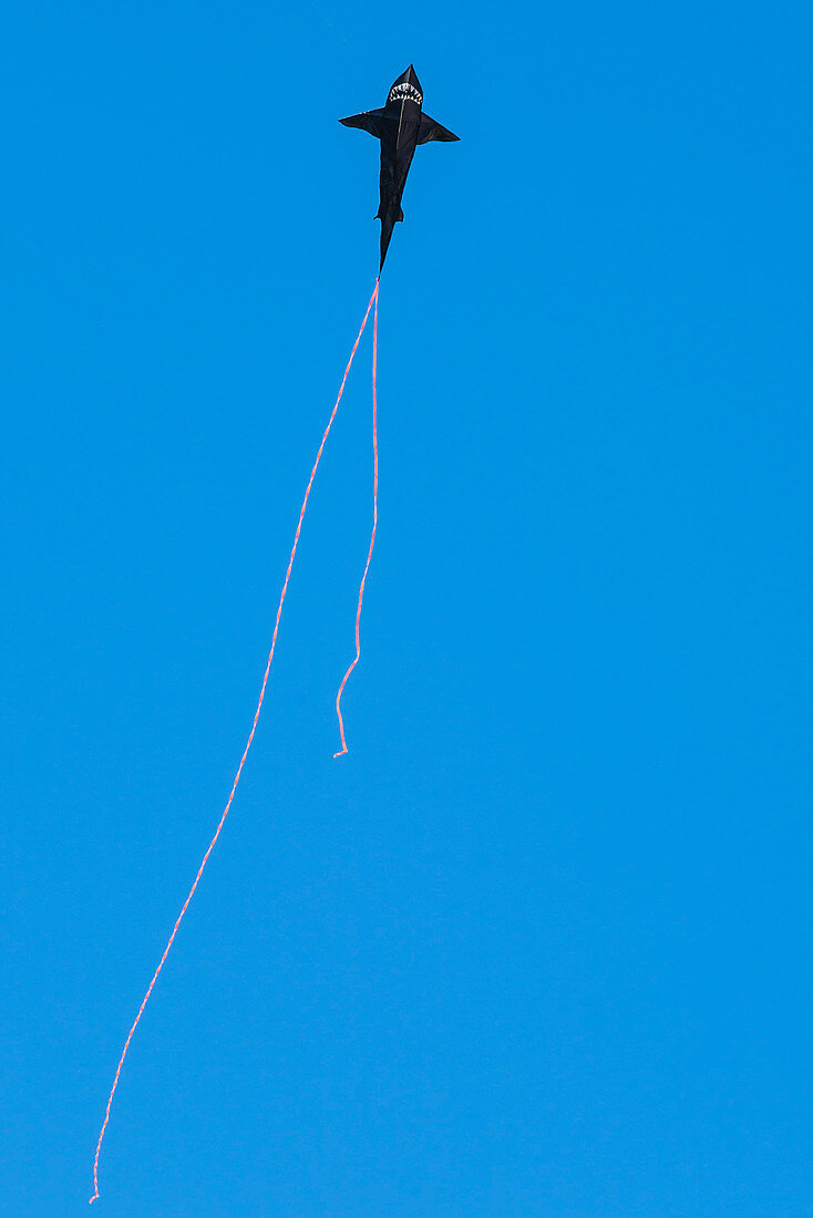 Drachen in Form eines Hai mit rotem Schwanz im wolkenlosen blauen Himmel, New York, USA