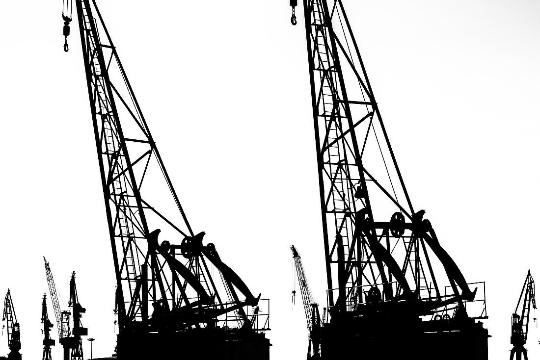 Silhouette of an accumulation of historical and new cranes in the Hamburg harbour, Hamburg, Germany