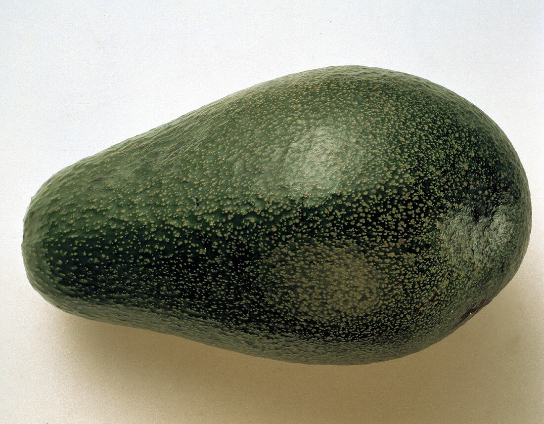 Ganze Avocado