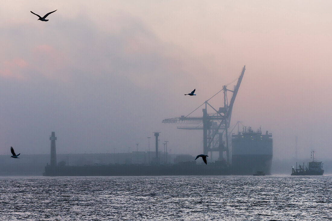 'Schiffe auf der Elbe am Hafenbezirk ''Kleiner Grasbrook'' kurz vor Sonnenaufgang, Hamburger Hafen, Hamburg, Deutschland '
