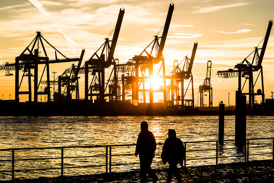 Spaziergänger an der Elbe im Sonnenuntergang vor der Kulisse des Containerterminals Burchardkai im Hamburger Hafen, Ottensen, Altona, Hamburg, Deutschland
