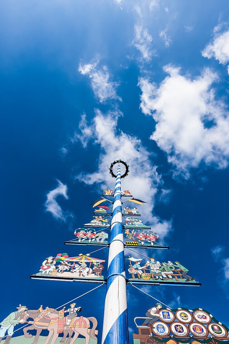 Maibaum, maypole on the Munich Viktualienmarkt, Munich, Bavaria, Germany