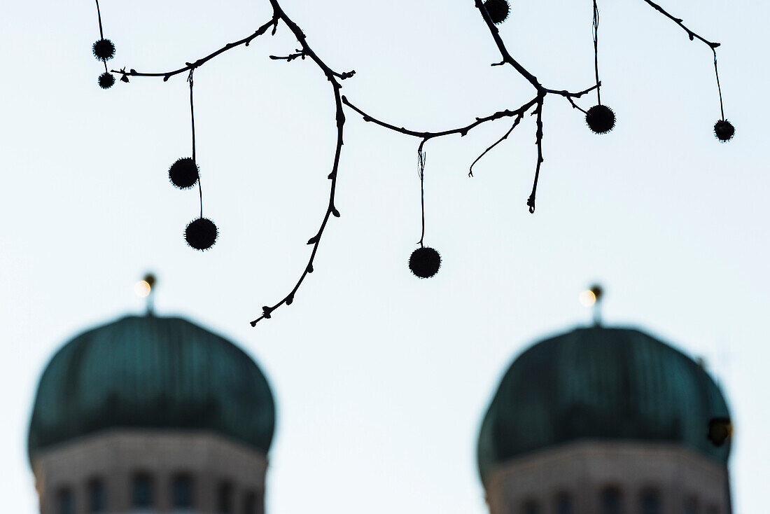 Kastanien vor dem Hintergrund der Türme der Frauenkirche, Dom zu Unserer Lieben Frau, München, Bayern, Deutschland