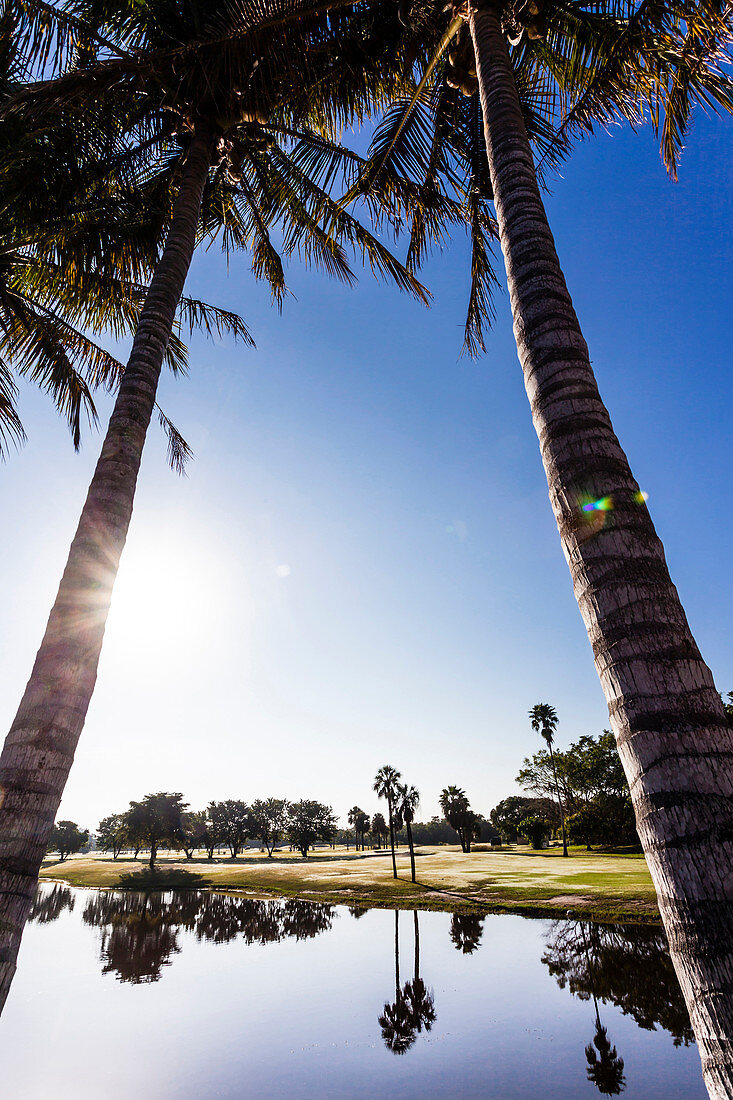 Ein romantischer Golfplatz mit See und Palmen die sich im Wasser spiegeln, Ft.Myers, Florida, USA