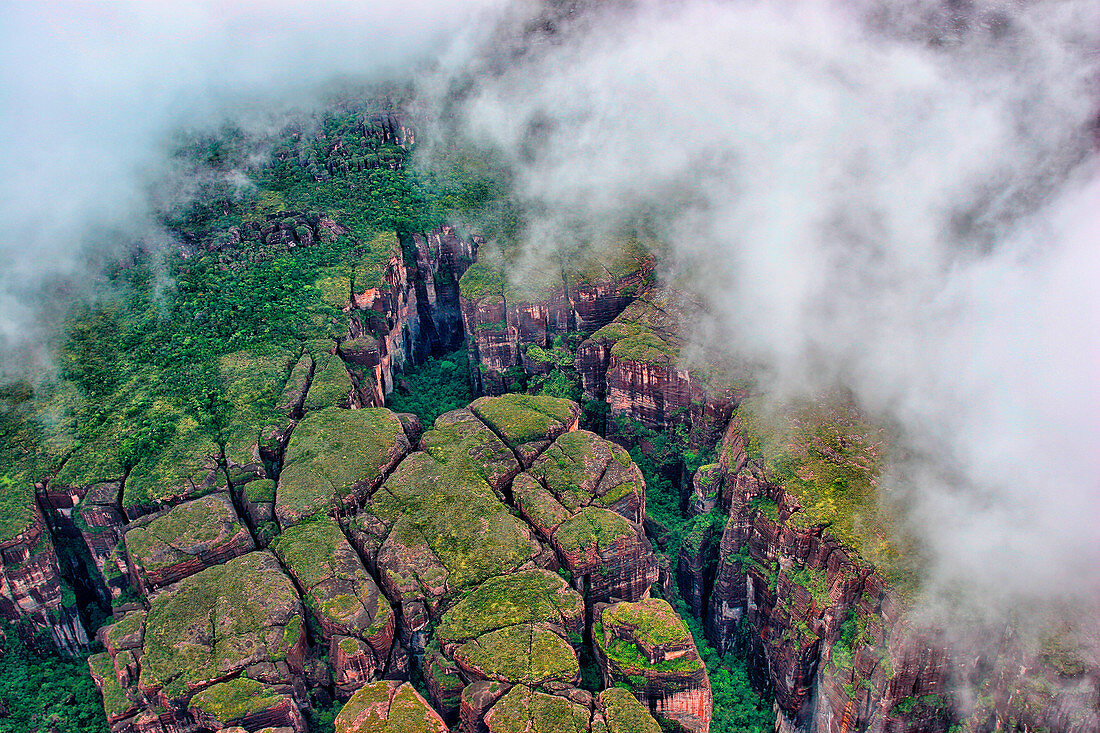 Around of Angel Falls, Canaima National Park, Guiana Highlands, Bolivar State, Venezuela