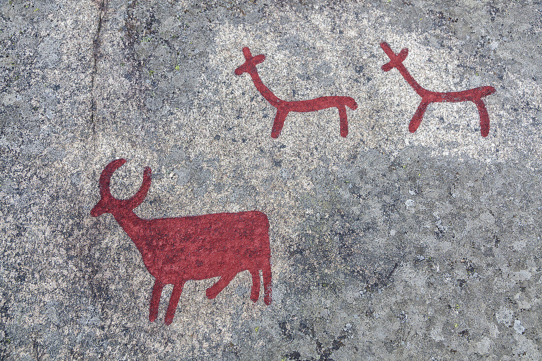 Petroglyphs in Fossum near Tannum, Bohuslän, Västergötland, Götaland, South Sweden, Sweden, Scandinavia, Northern Europe, Europe