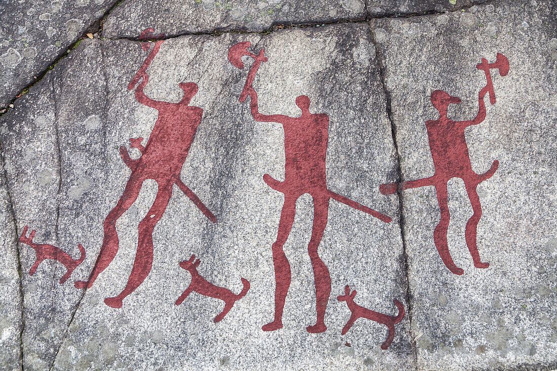 Petroglyphs in Fossum near Tannum, Bohuslän, Västergötland, Götaland, South Sweden, Sweden, Scandinavia, Northern Europe, Europe