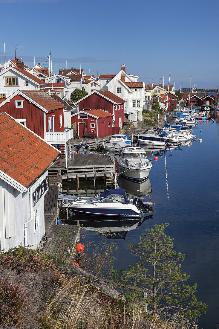 Swedish cottages in the harbour of Grundsund, Island Skaftö, Bohuslän, Västergötland, Götaland, South Sweden, Sweden, Scandinavia, Northern Europe, Europe