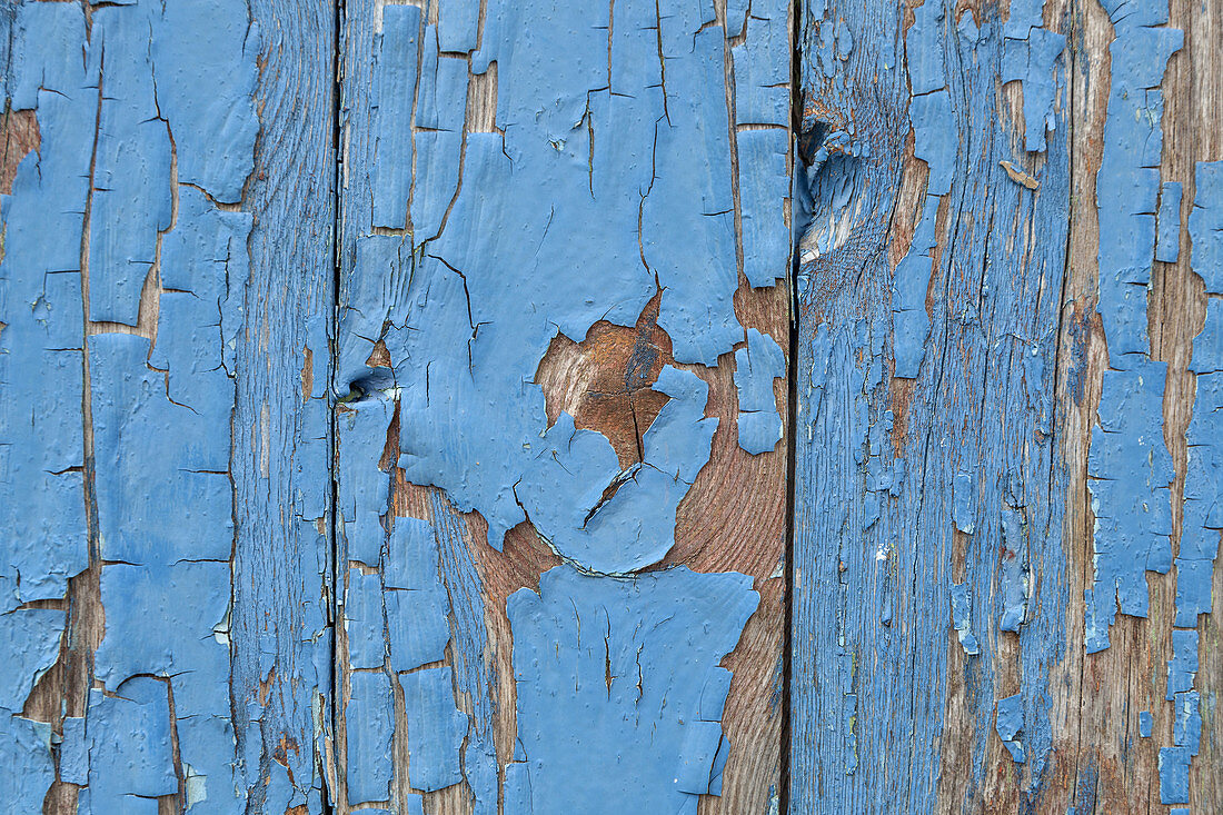 Flaking old blue paint of a wodden gate, Bohuslän, Västergötland, Götaland, South Sweden, Sweden, Scandinavia, Northern Europe, Europe