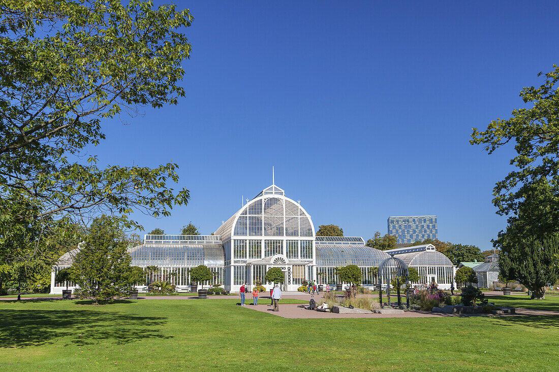 Palmenhaus im Park der Göteborger Gartenvereinigung, Göteborg, Bohuslän, Västra Götalands län, Südschweden, Schweden, Skandinavien, Nordeuropa, Europa