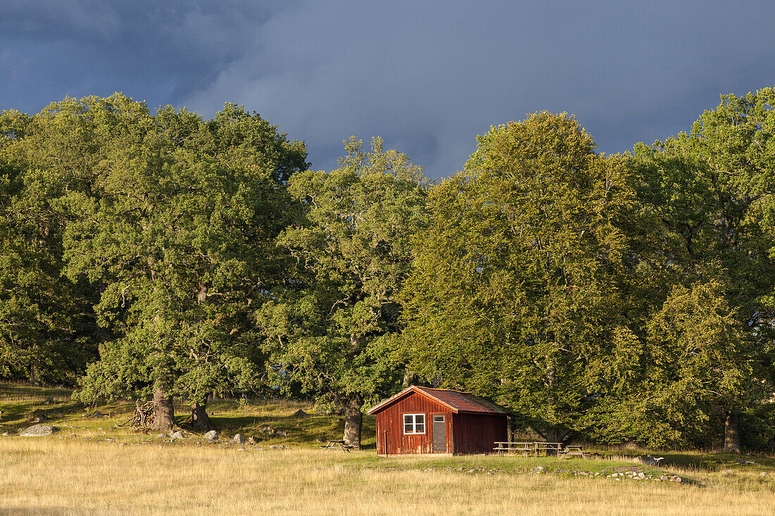 Hütte im Naturschutzgebiet Hjorthagen, Mariefred, Södermanlands län, Südschweden, Schweden, Nordeuropa, Europa