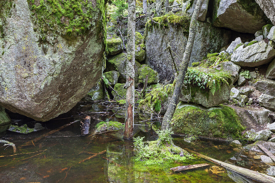 Felsen auf der Trollkyrkarunde im Tiveden Nationalpark, bei Karlsborg, Västergötland, Götaland, Südschweden, Schweden, Skandinavien, Nordeuropa, Europa