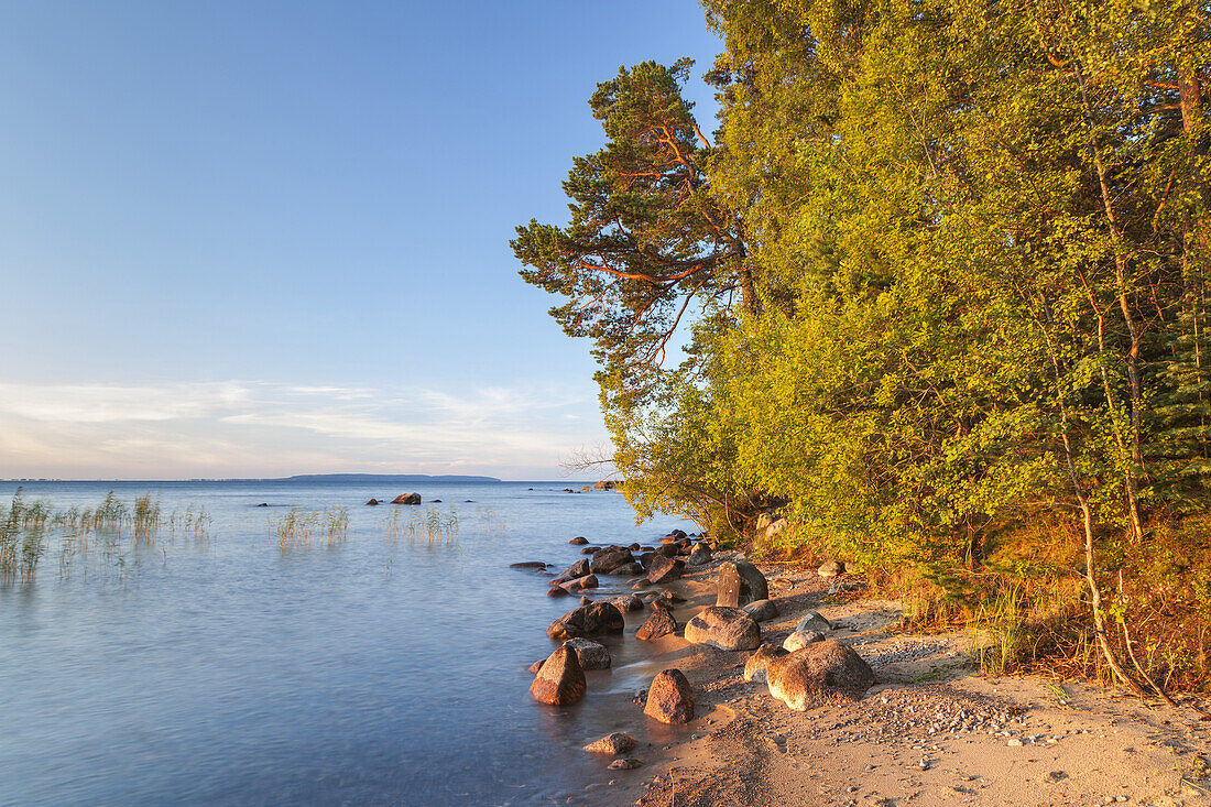 Ufer des Vättern im ersten Morgenlicht, bei Karlsborg, Västergötland, Götaland, Västra Götalands län, Südschweden, Schweden, Skandinavien, Nordeuropa, Europa
