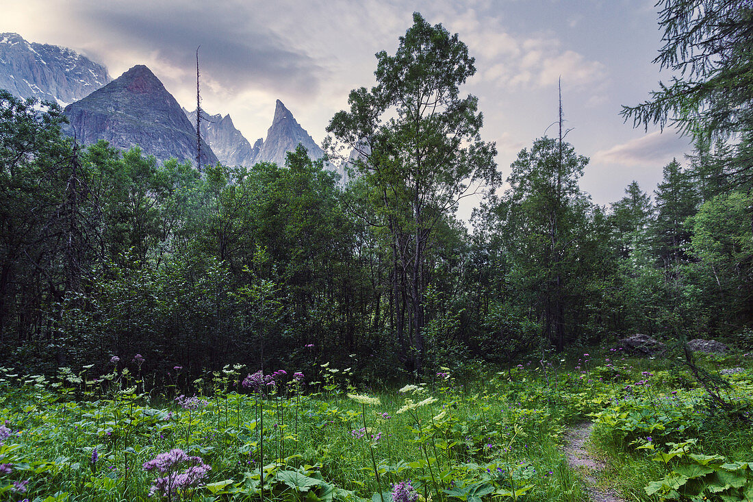 Mont-Blanc mountain group in the background creates the border to France, Aosta Valley, Italy