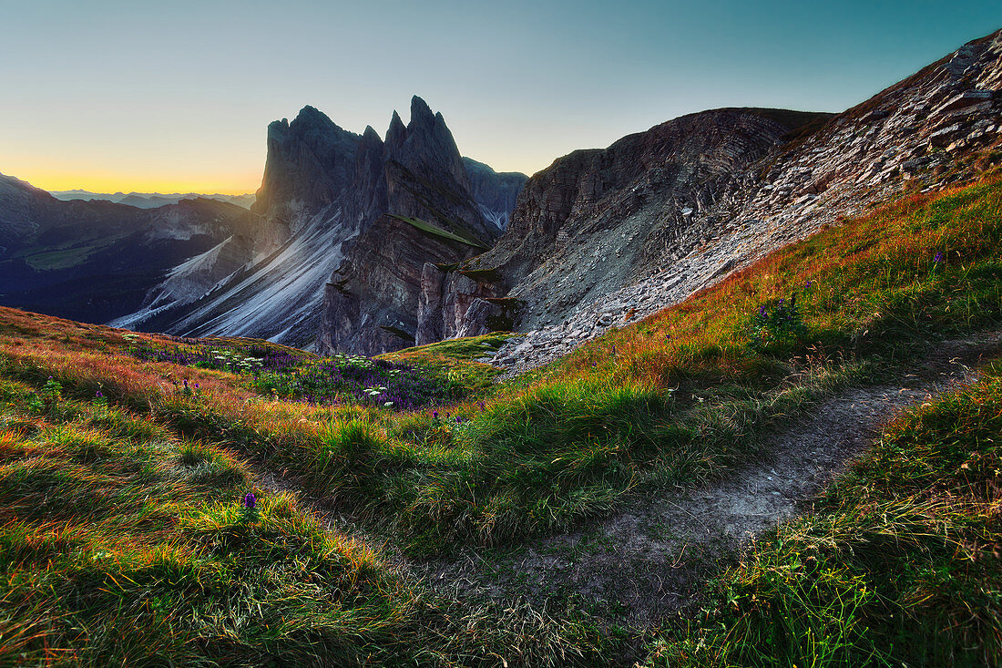 Seceda and Geisler Group in the early morning, Dolomites, Unesco world heritage, South Tyrol, Italy