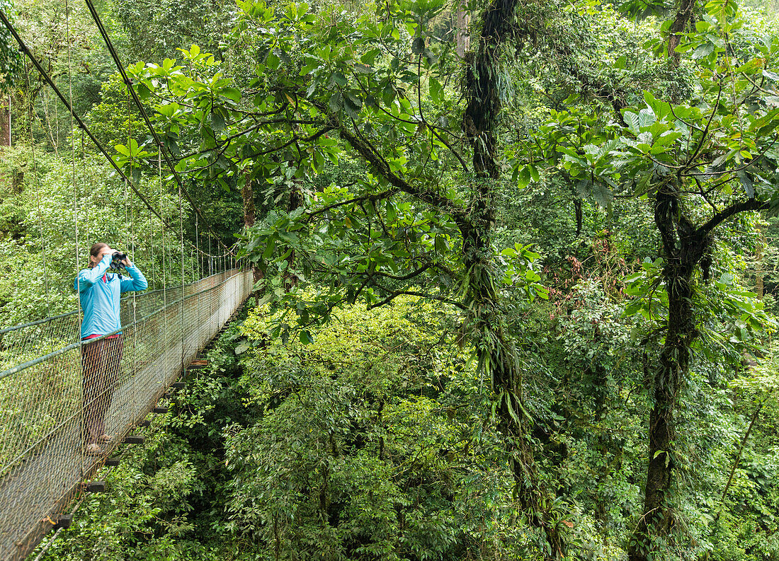 Women on Costa Rican canopy walk looks for wildlife