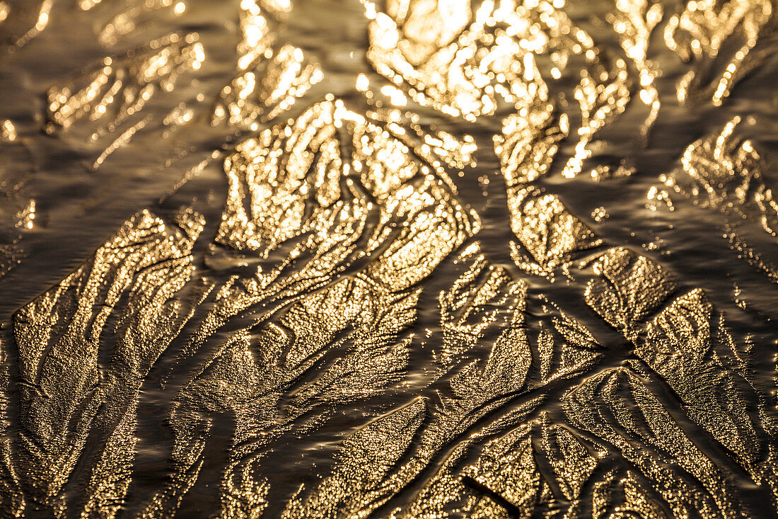 Braided stream channels on Lincoln Beach lead to the Pacific Ocean.