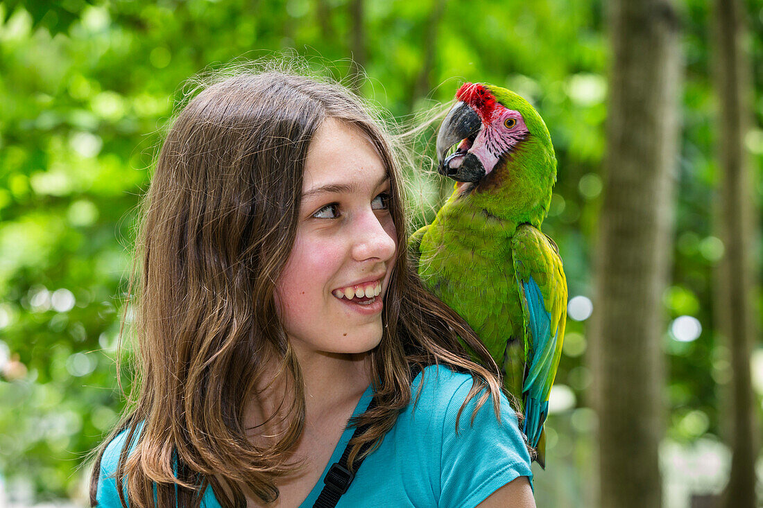 13 years old german girl with parrot on her shoulder, Military Macaw, Ara militaris, Trinidad, West Indies