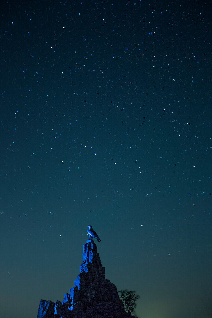 Fliegerdenkmal auf der Wasserkuppe vor Sternenhimmel mit Streifen von einer Sternschnuppe während der Perseiden bei Nacht, nahe Poppenhausen, Rhön, Hessen, Deutschland