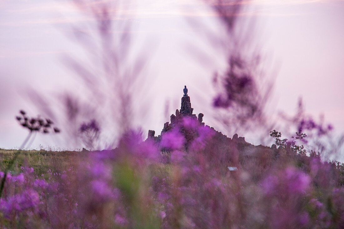 View through purple flowers to Aviator Monument on Wasserkuppe mountain at dusk