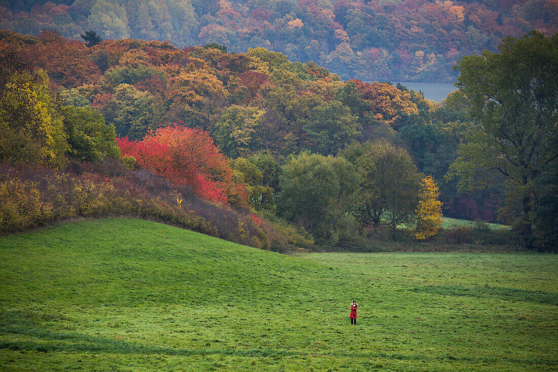 Frau auf Wiese vor Herbstwald mit Bäumen mit buntem Laub, nahe Nüsttal Haselstein, Rhön, Hessen, Deutschland