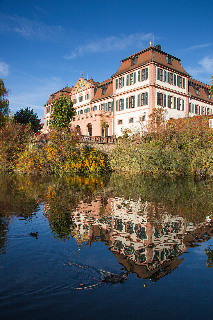 Spiegelung von Kellereischloss Hammelburg (Rotes Schloss) in Teich mit Enten, Hammelburg, Rhön, Bayern, Deutschland